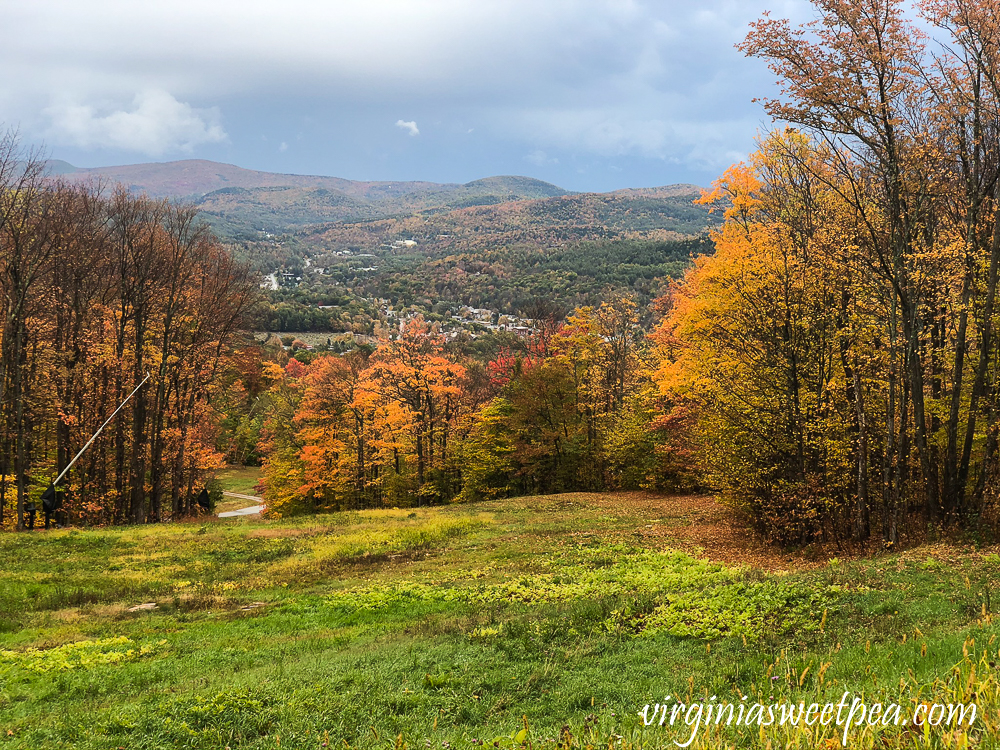Fall foliage along the ski slopes of Okemo Mountain, VT