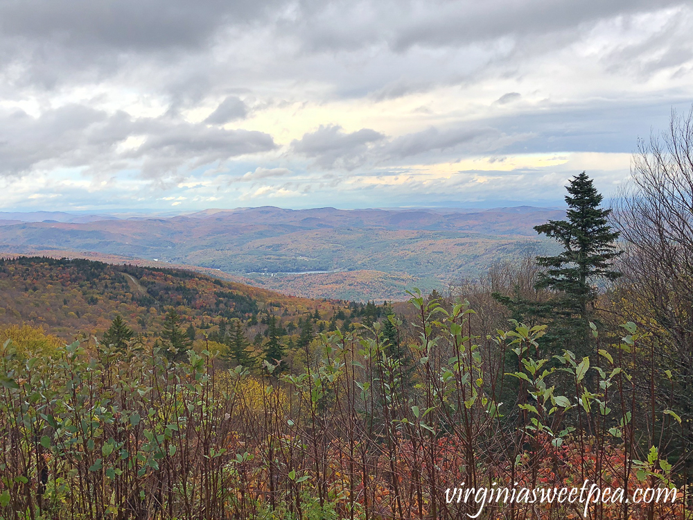 Fall foliage seen from the top of Okemo Mountain, VT