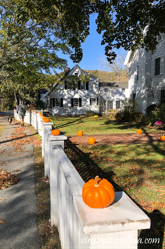 Pumpkins on the top of fence posts in Woodstock, VT