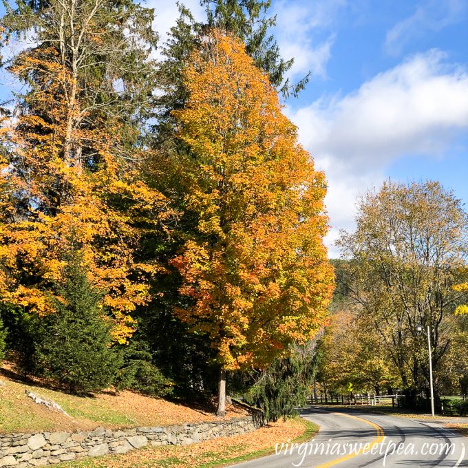 Fall foliage in Woodstock, VT