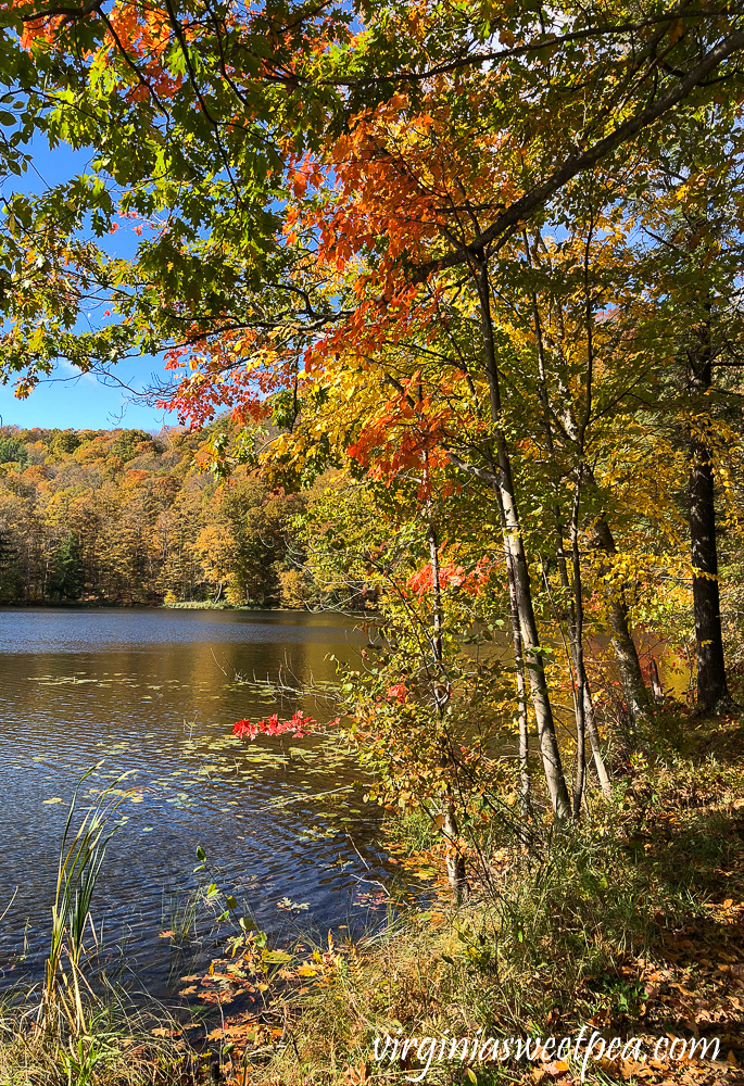 Fall foliage at The Pogue on Mt. Tom in Woodstock,VT