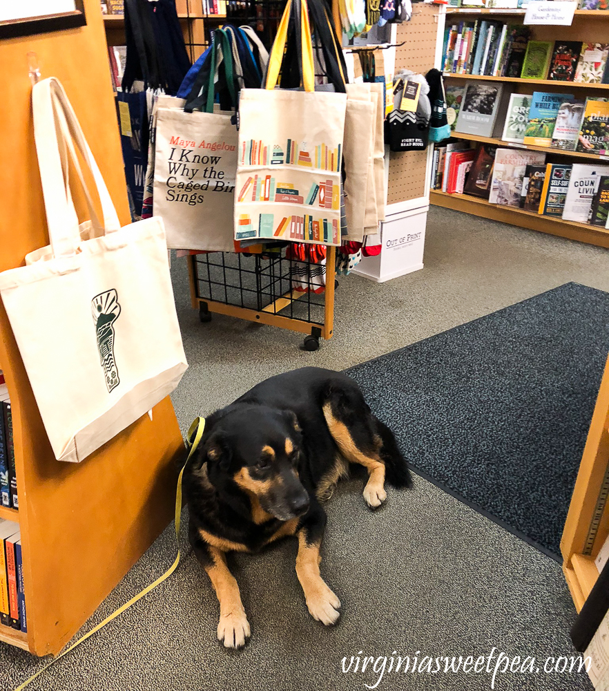 Dog friendly bookstore in Woodstock, VT