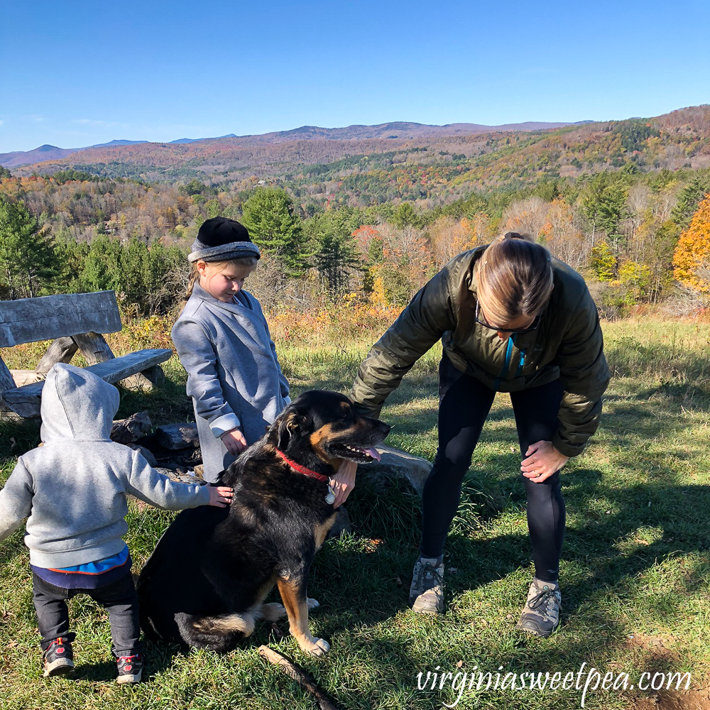 Dog being petted at the summit of Mt. Peg in Woodstock, VT