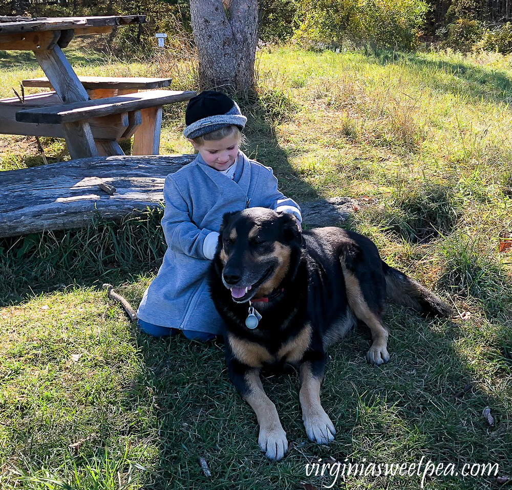 Dog being hugged by a young girl we met while hiking Mt. Peg in Woodstock, VT