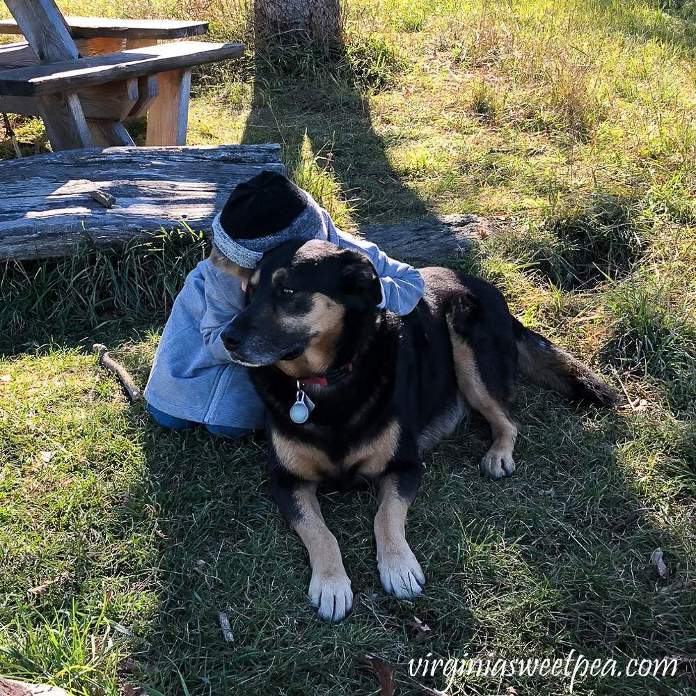 Little girl hugging a dog