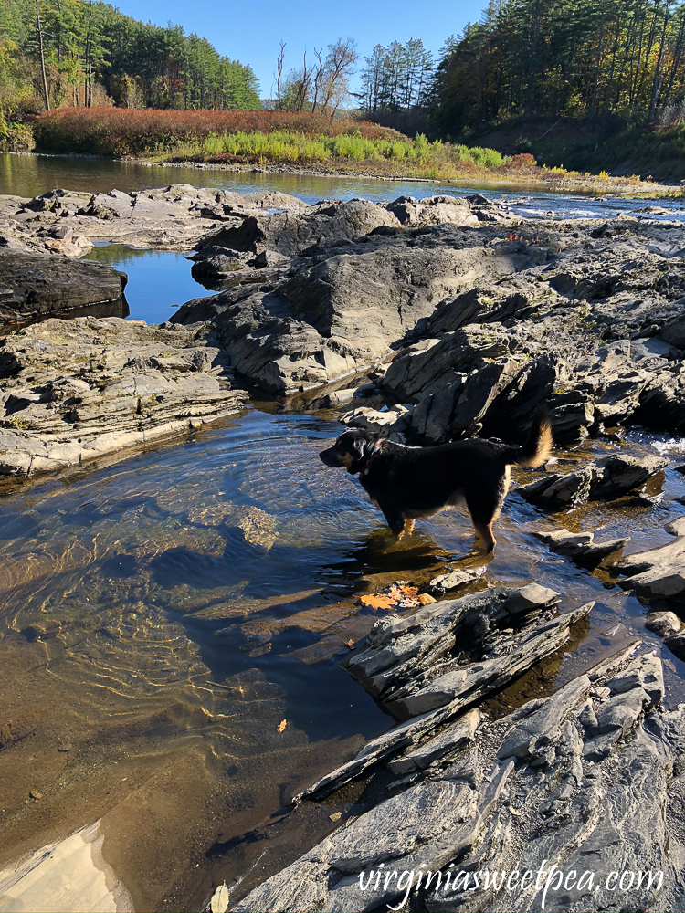 Hiking Quechee Gorge in Quechee, Vermont