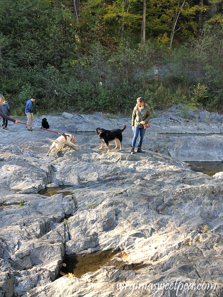 Hiking Quechee Gorge in Quechee, Vermont