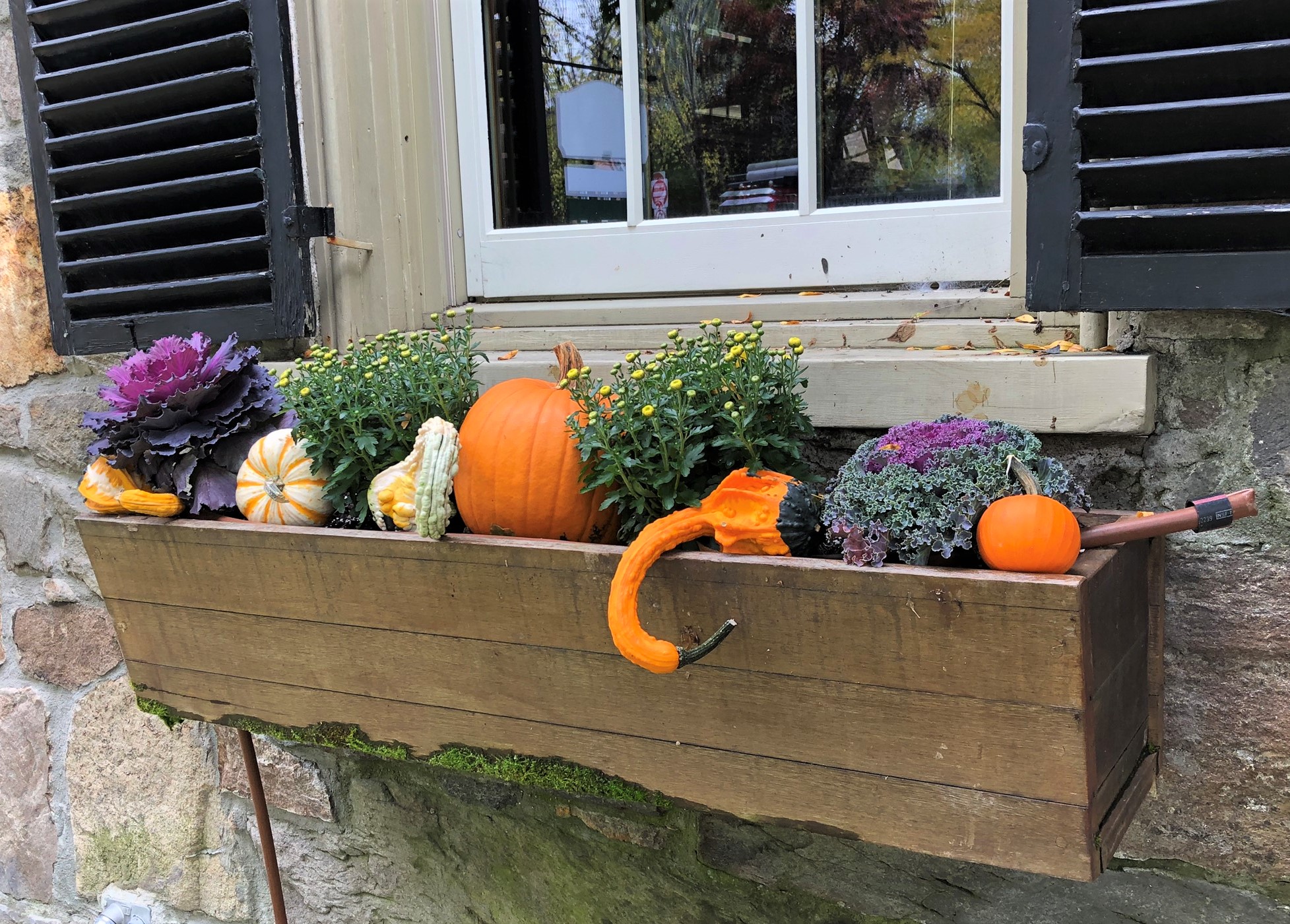 Flower box with mums, gourds, and ornamental cabbage