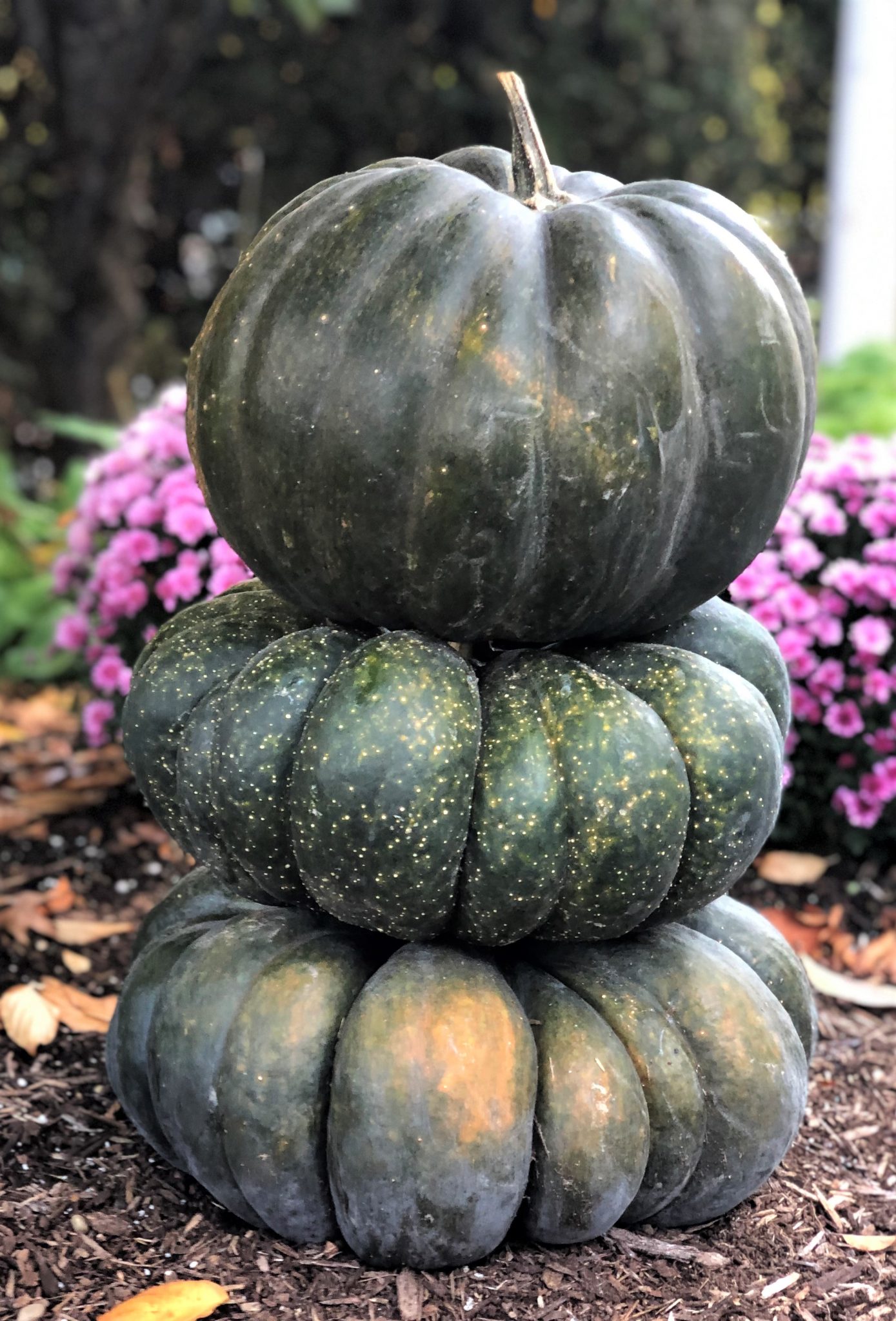 Trio of stacked green pumpkins