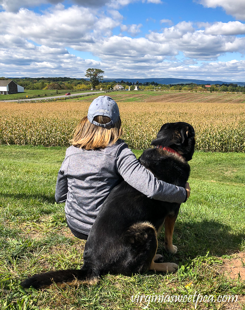 Woman and dog enjoying a fall day at Gettysburg National Military Park