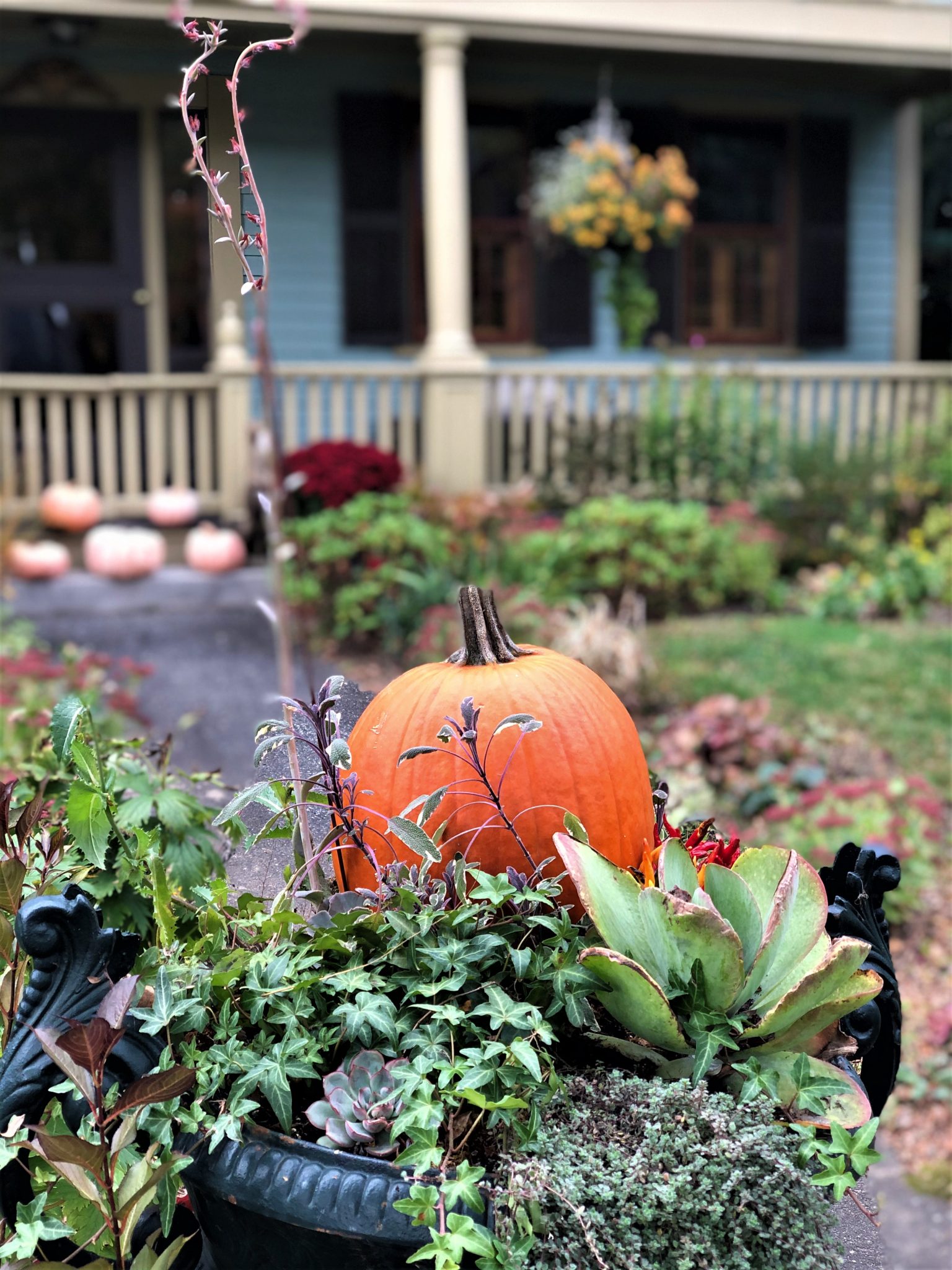 Flower pots decorated with a pumpkin
