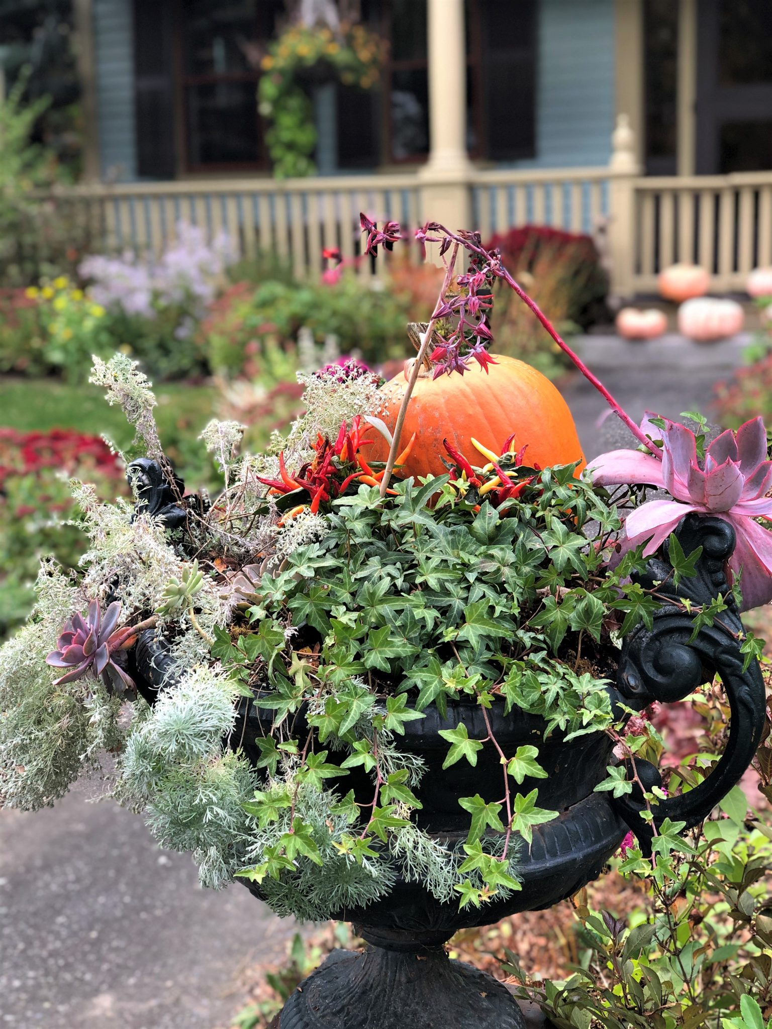 Porch decorated with orange pumpkins