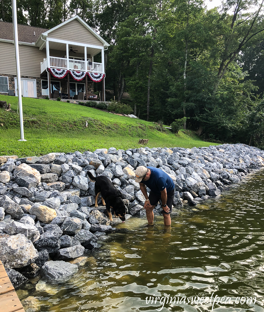 Riprap shoreline with stairs built-in. Dog drinking water from the lake with a human watching.