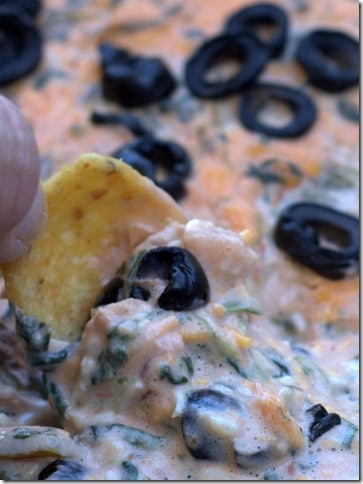 Dip made with spinach, Monterey Jack, cream cheese, salsa, and olives.