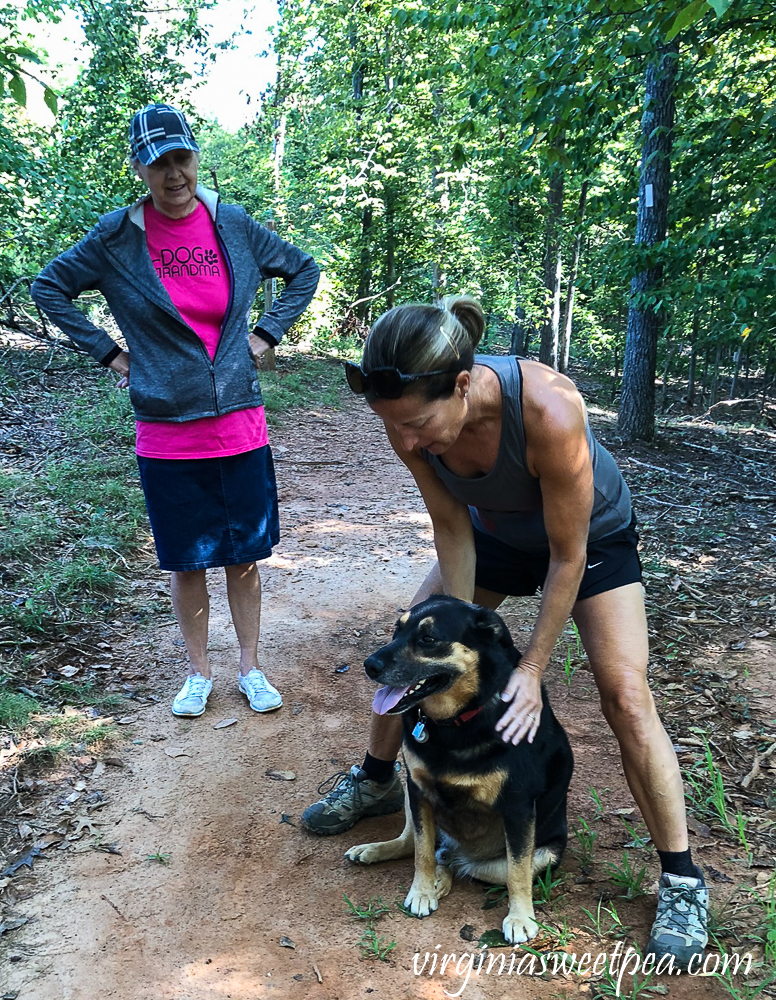 Hiking with a dog in Smith Mountain Lake State Park, VA