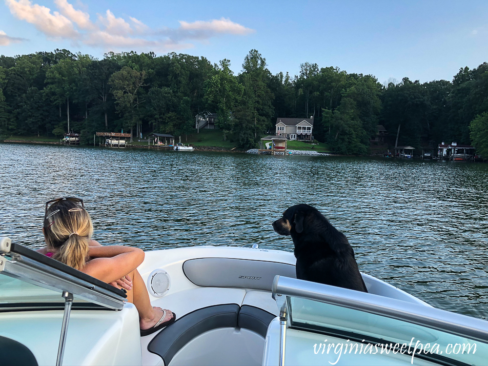 Woman and dog on a boat at Smith Mountain Lake, VA