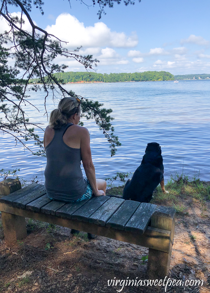 Woman and dog looking at Smith Mountain Lake from the state park