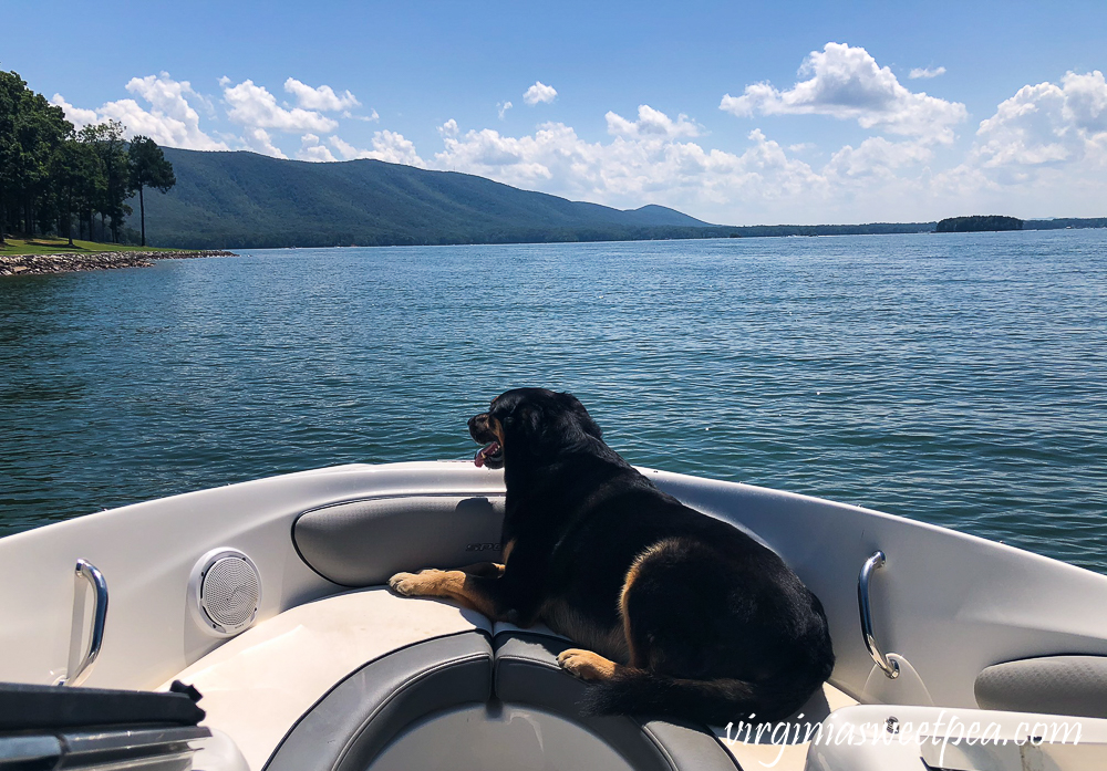 Sherman Skulina on a boat at Smith Mountain Lake, VA