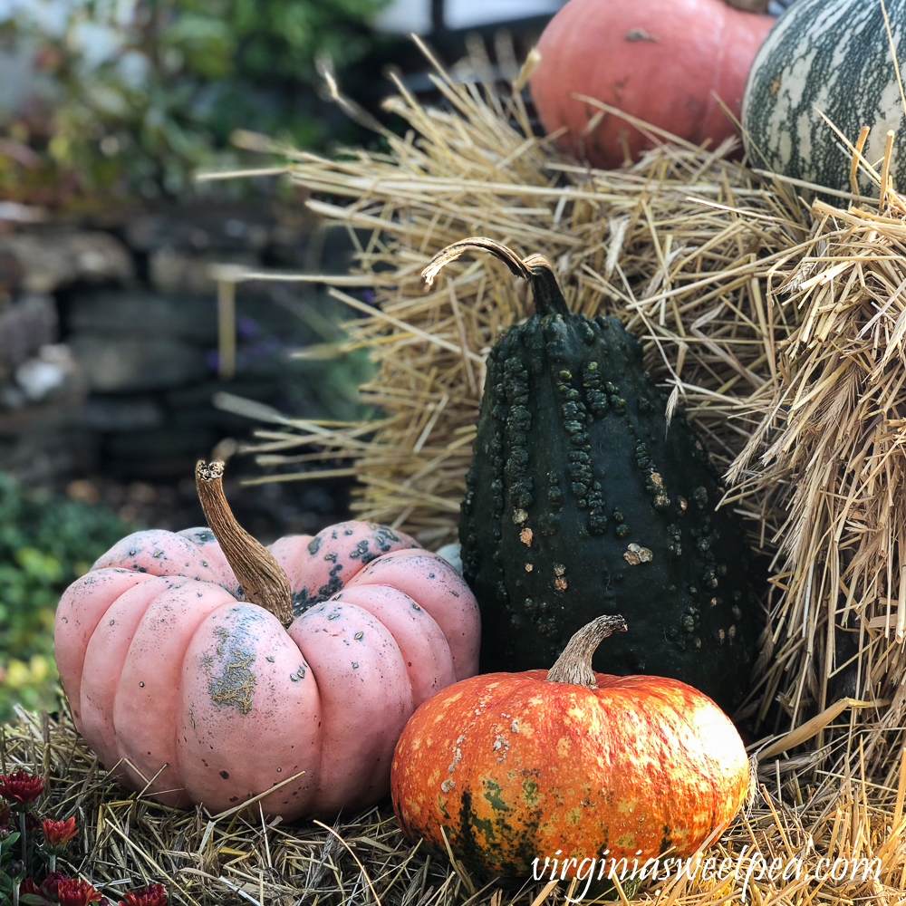 Gourds and pumpkins on a hay bale