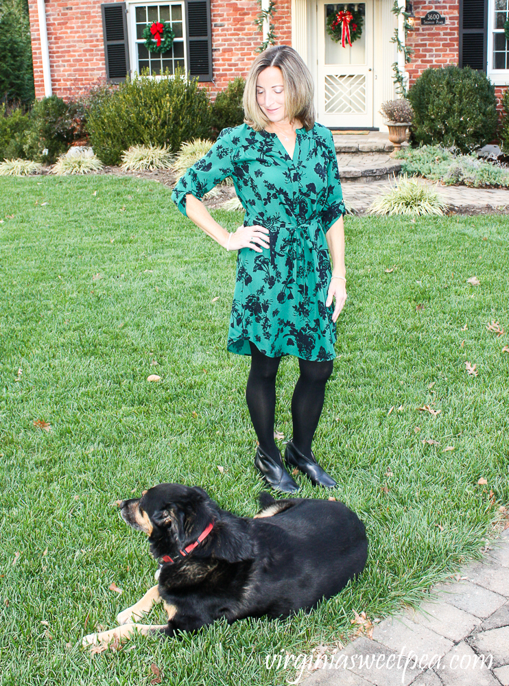 41 hawthorn cristen shirt dress sale