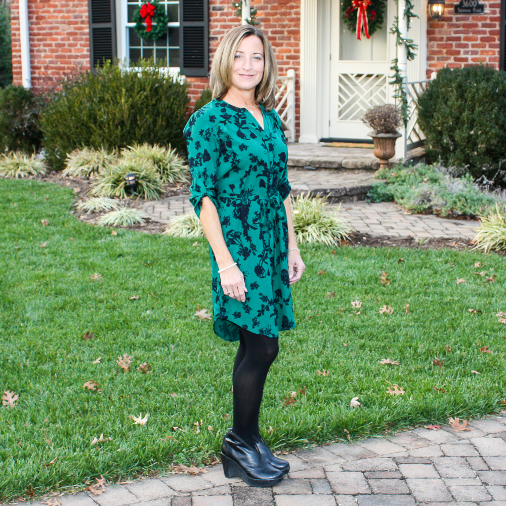 Stitch Fix 41 Hawthorn Jimena Shirt Dress