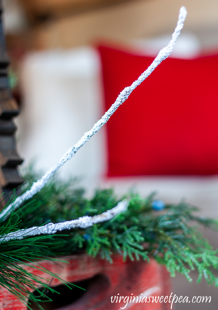 Branch covered in dried Epsom salt