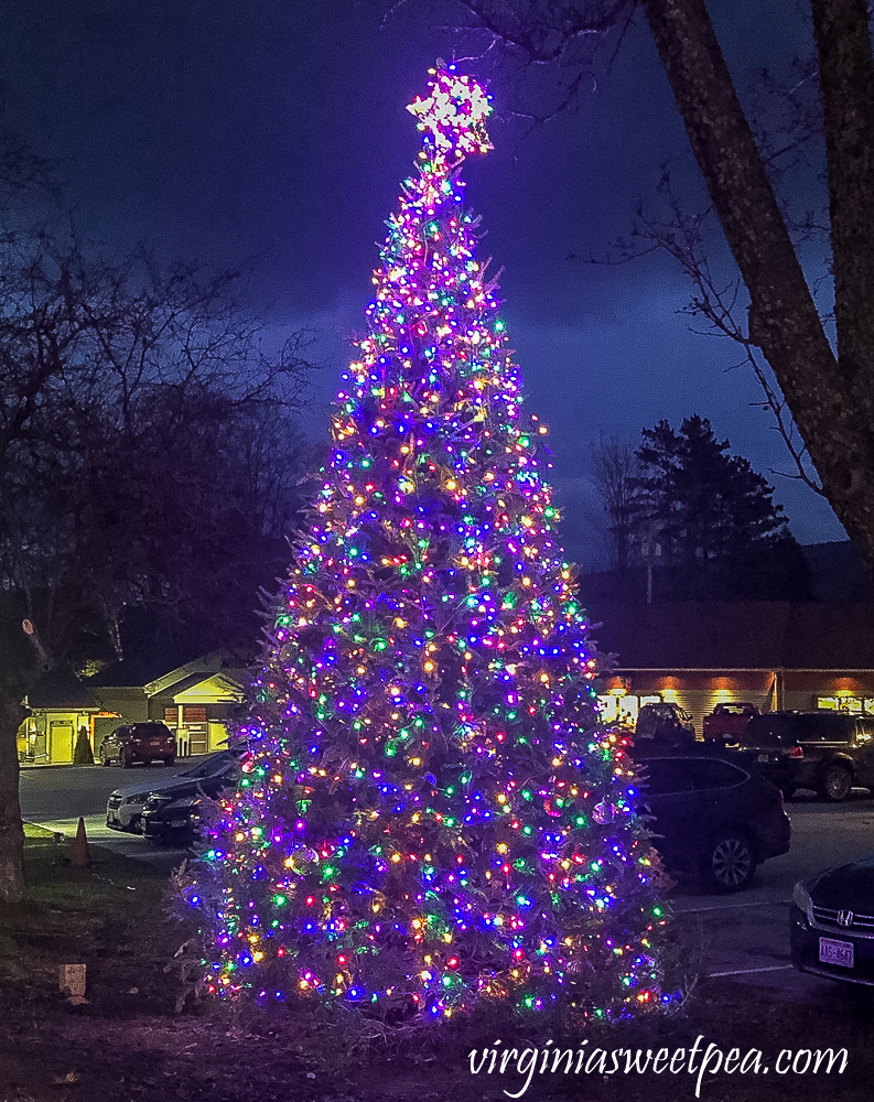 Outdoor Christmas tree in Manchester, Vermont