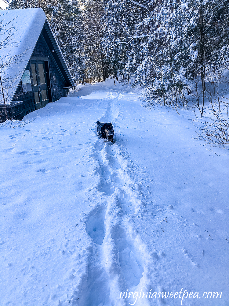Sherman Skulina in the snow on Mt. Tom in Woodstock, Vermont