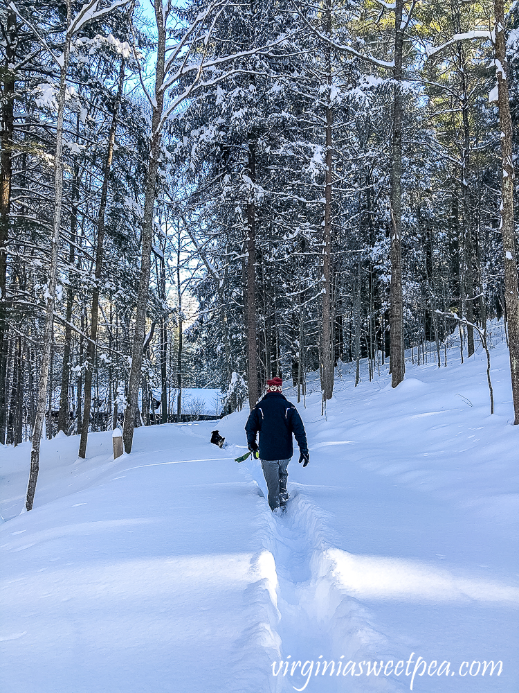 Sherman and David Skulina in the December 2020 snow in Woodstock, Vermont