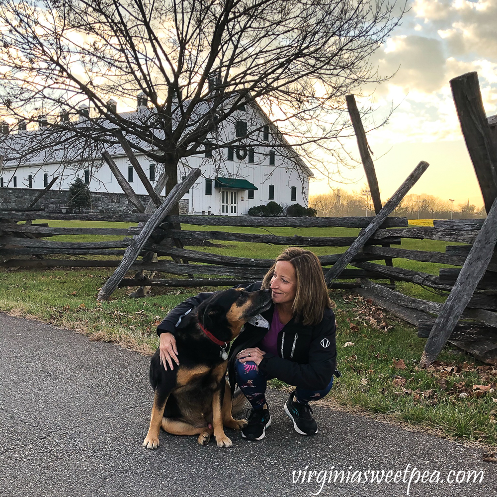 Springfield Farm, Williamsport, MD