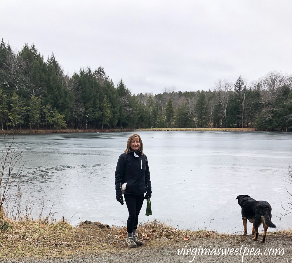 The Pogue frozen Christmas 2020