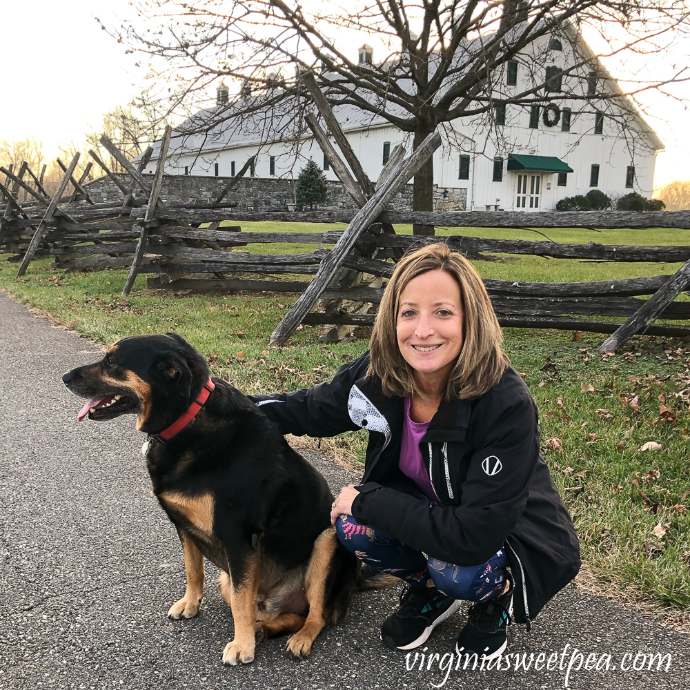 Springfield Farm, Williamsport, MD