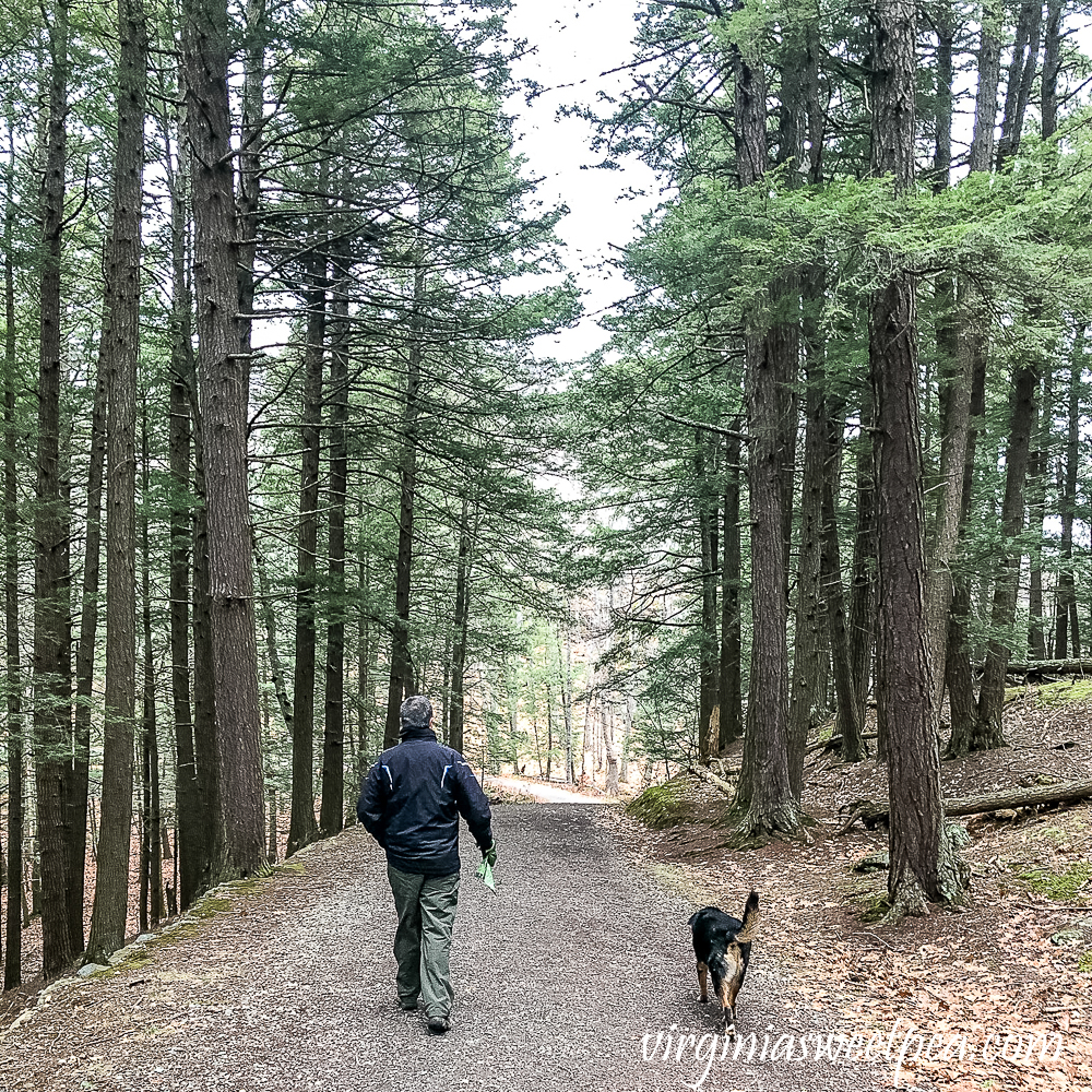 Sherman and David Skulina hiking Mt. Tom in Woodstock, Vermont