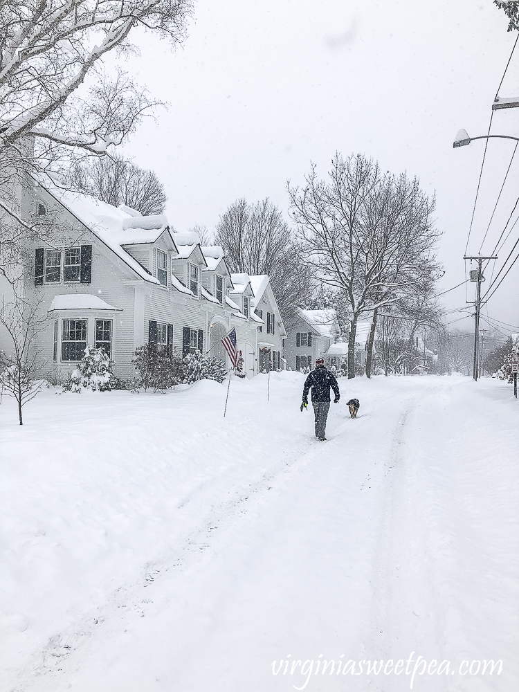 Sherman and David Skulina in the December 2020 snow in Woodstock, Vermont