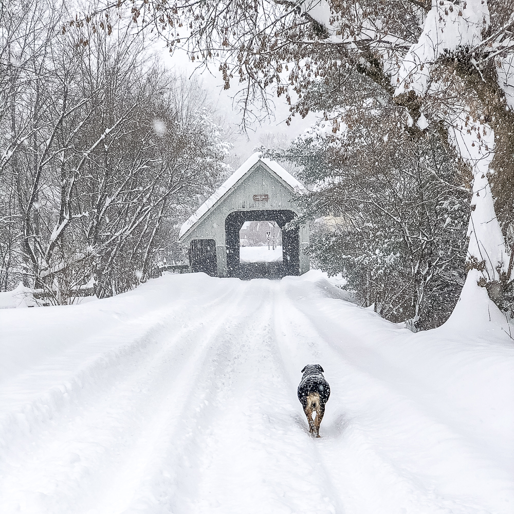 Christmas in Vermont – Part Three