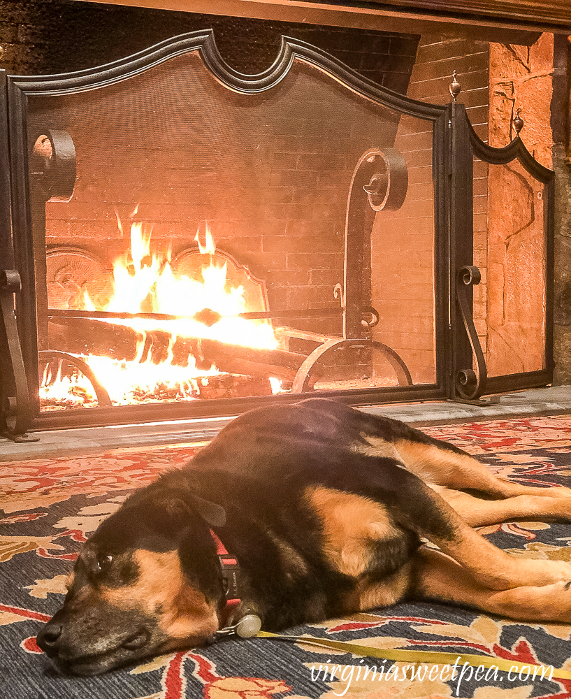 Sherman Skulina in front of the fire at the Woodstock Inn in Woodstock, Vermont