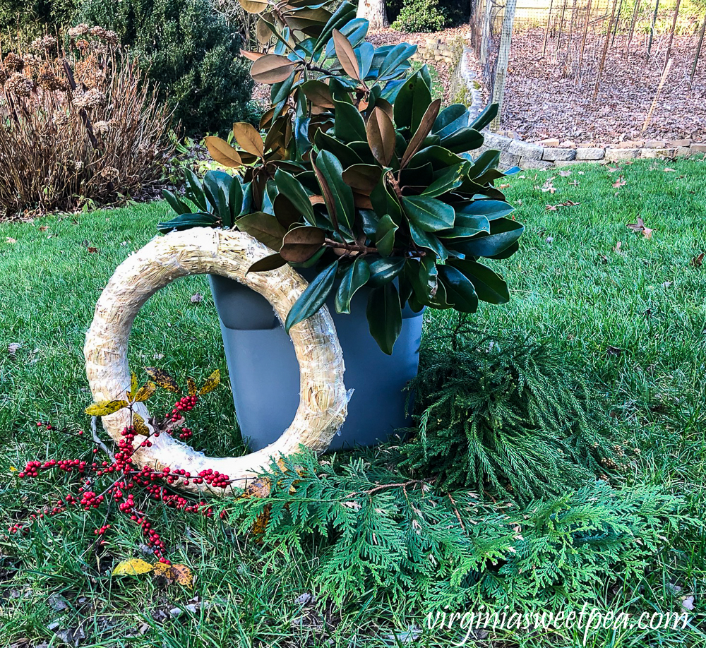 Supplies to make a Magnolia wreath for Christmas