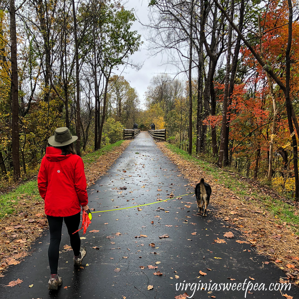 Hiking on Blackwater Creek Trail, Lynchburg, VA