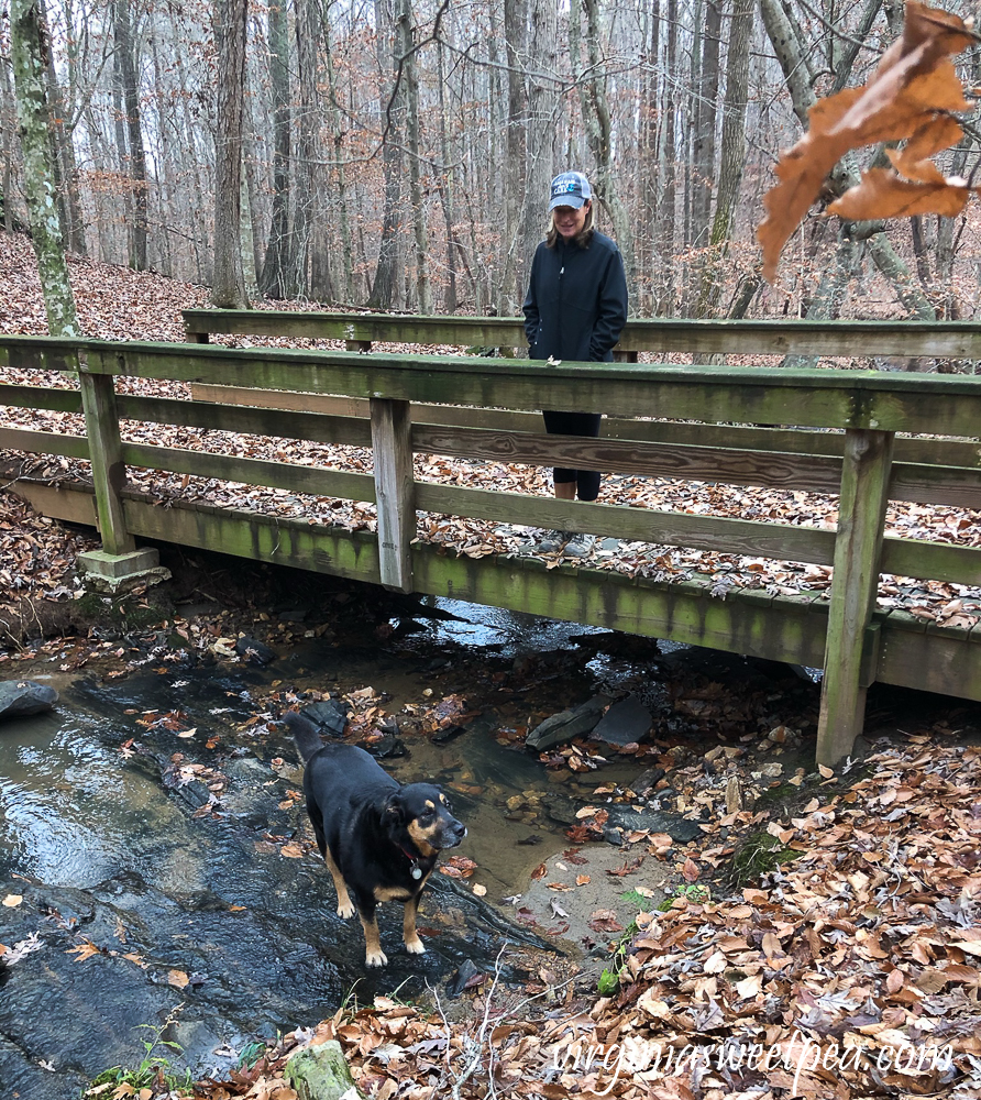 Enjoying the trails at Smith Mountain Lake State Park