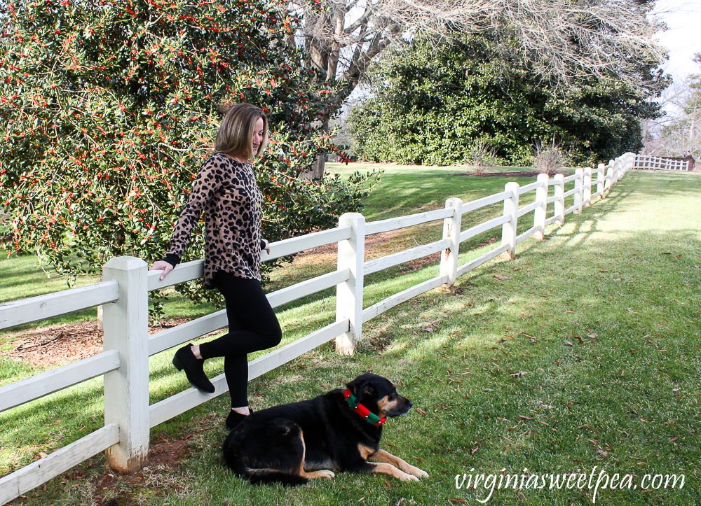 Stitch Fix Review for January 2021 - Pink Clover Abby Button Back Knit Top