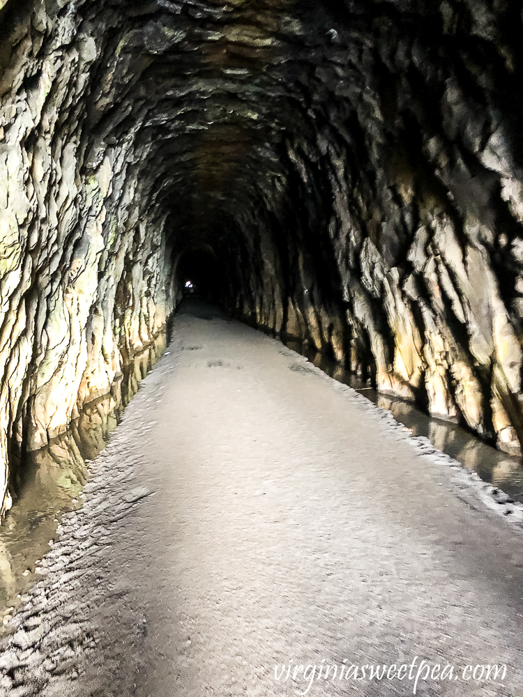 Looking into The Blue Ridge Tunnel from the East Side