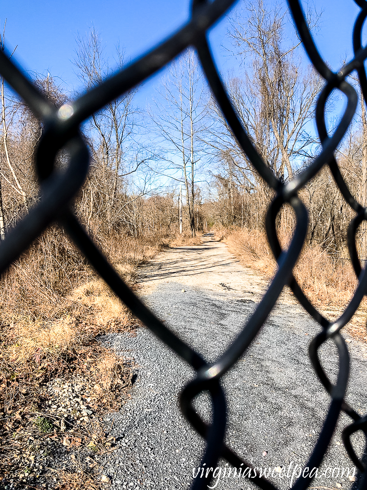 Old Trail Track