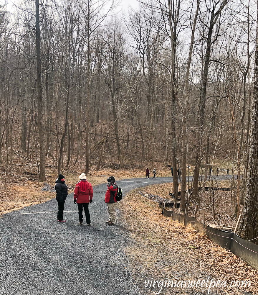 Hiking the Blue Ridge Tunnel Trail in Afton, Virginia - West side of the Trail