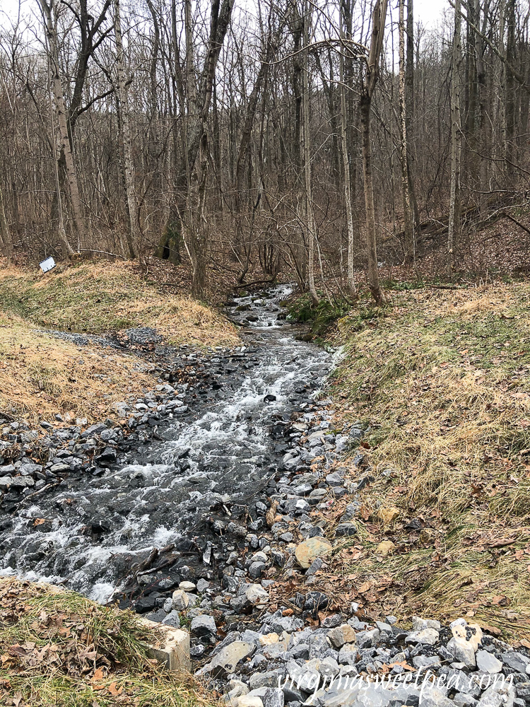 Water Runoff on the Blue Ridge Tunnel Trail in Afton, Virginia