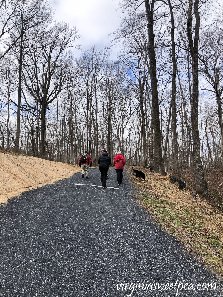 Hiking the Blue Ridge Tunnel Trail in Afton, Virginia - West side of the Trail