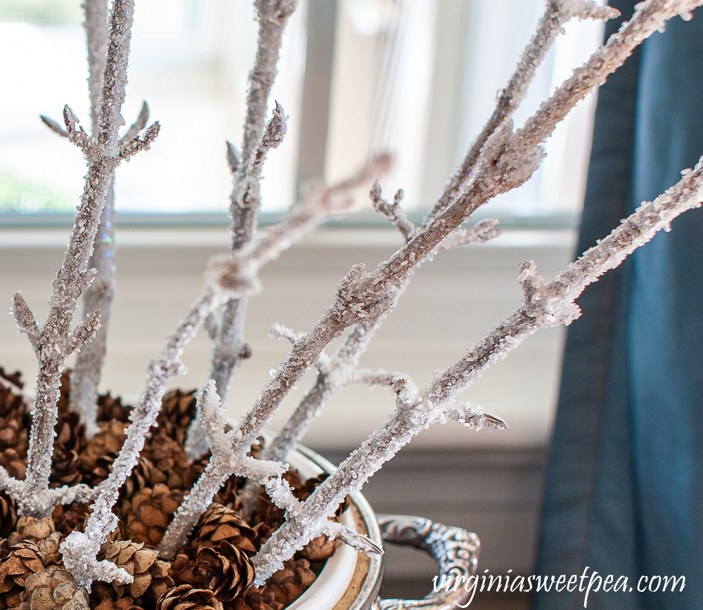 Epsom Salt coated branches