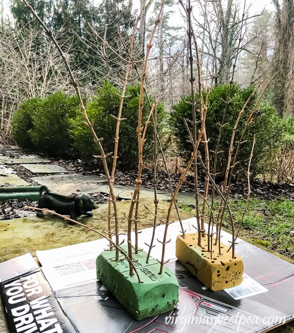 DIY Frosted Branches Sweet Pea