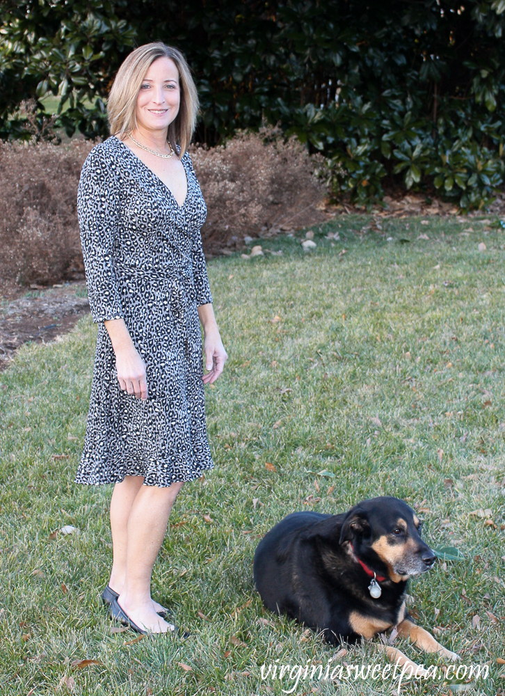 Stitch Fix Leota Libby Faux Wrap Knit Dress