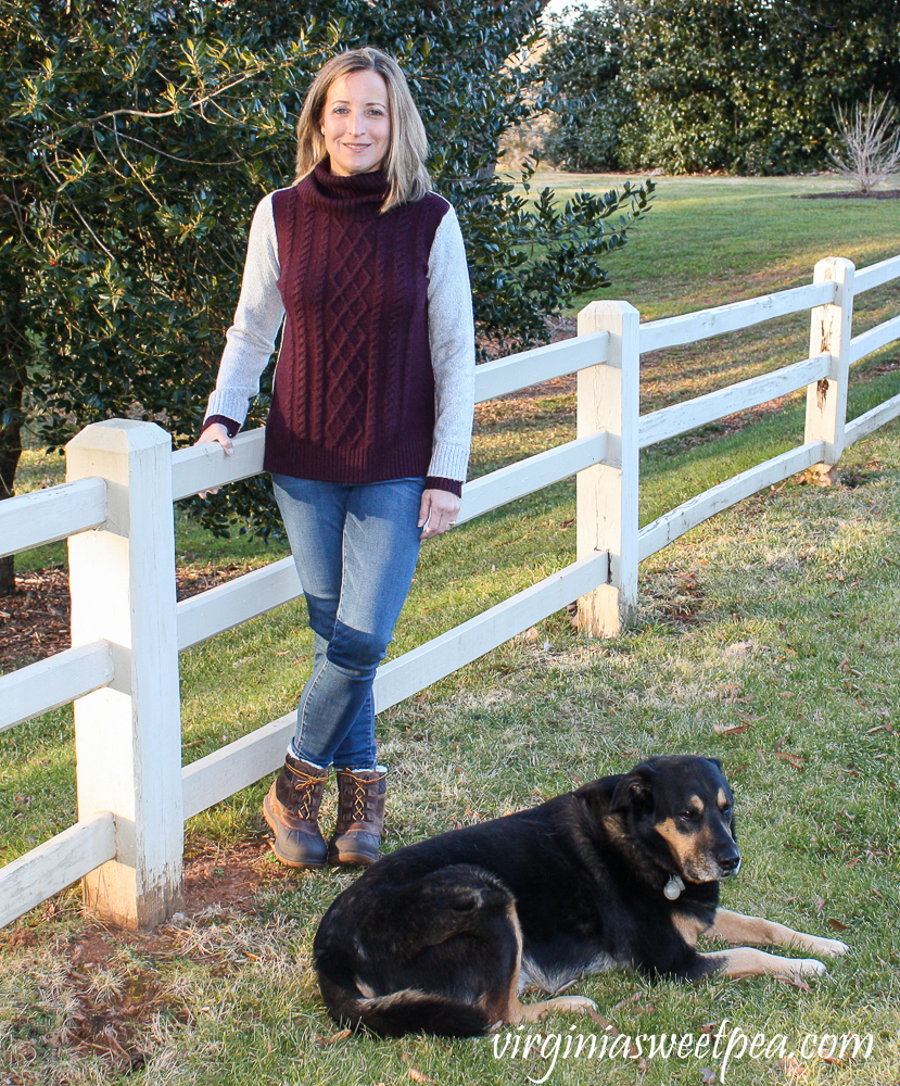 Market & Spruce Bernice Cowl Neck Pullover