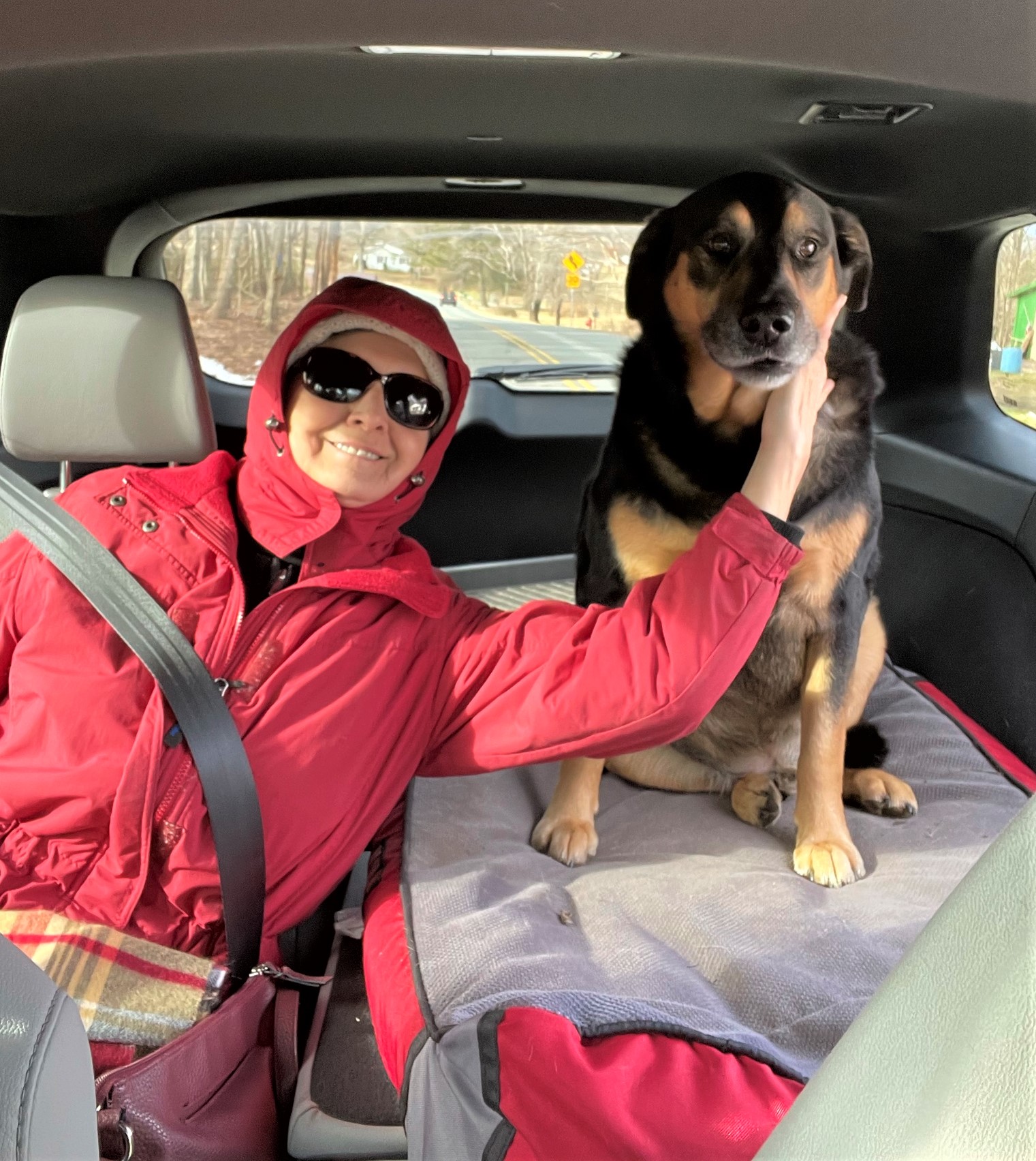 Dog and a woman in a car